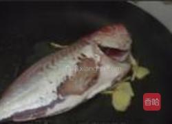 大眼鸡煮番茄的做法图解6