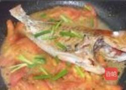 大眼鸡煮番茄的做法图解9