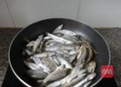 家常小鱼冻的做法图解4