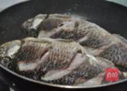 橄榄鲫鱼汤的做法图解7