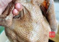 五香烤鸡的做法图解6