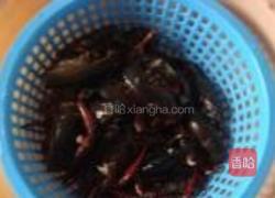 红烧小龙虾的做法图解1