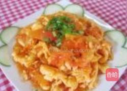 西红杮炒蛋的做法图解11