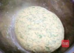 胡萝卜苗粗粮饼的做法图解4