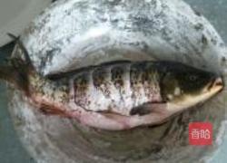 栖湖糖醋鲤鱼的做法图解3