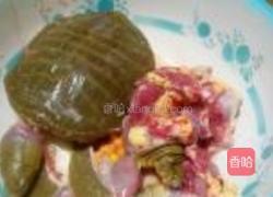 清炖甲鱼的做法图解3