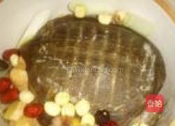 清炖甲鱼的做法图解7