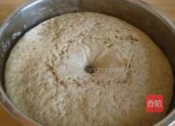 全麦绿茶馒头的做法图解6