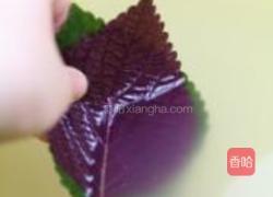 紫苏椒麻千层肚丝的做法图解12