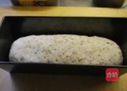 全麦亚麻籽面包的做法图解15