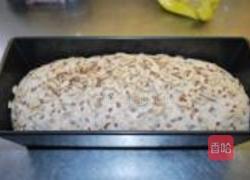 全麦亚麻籽面包的做法图解16