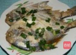 香煎鲳鱼的做法图解9