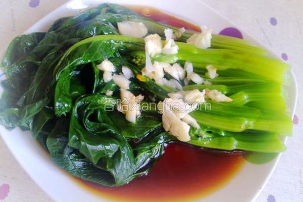 广东菜心