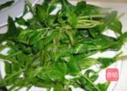 酥炸香椿鱼的做法图解1