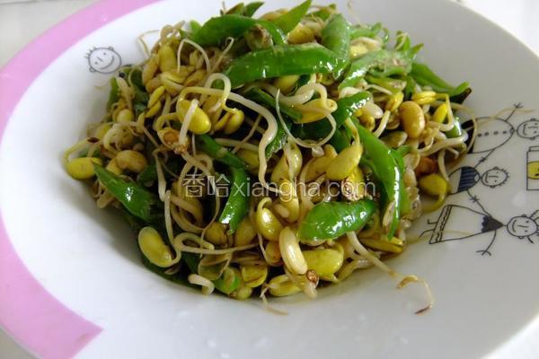 尖椒炒豆芽