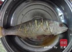 红烧肉丝鲈鱼的做法图解4