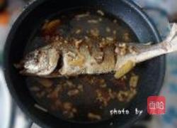 红烧肉丝鲈鱼的做法图解9