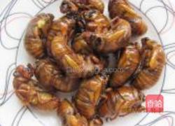 香酥金蝉的做法图解5