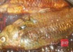 红烧鲫鱼的做法图解8