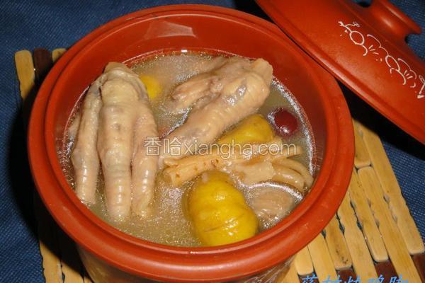 药材炖鸡脚