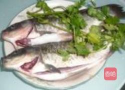 鲫鱼烧香菜的做法图解1