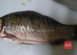 鲫鱼烧香菜的做法图解2