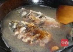 鲫鱼烧香菜的做法图解6