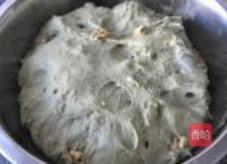 抹茶核桃圆面包的做法图解6