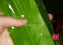 培根粽子的做法图解4