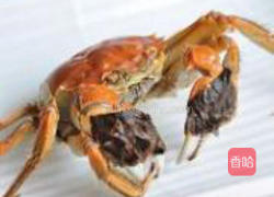 清蒸大闸蟹的做法图解6