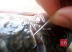 野菜干炖鲫鱼的做法图解4