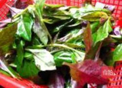 蒜香紫贝菜的做法图解2