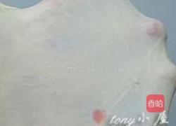 全奶油土司的做法图解10