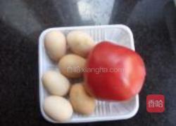 西红柿炒蛋的做法图解1