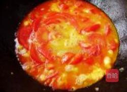 番茄炒蛋的做法图解5