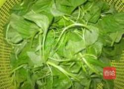 蒜泥苋菜的做法图解1