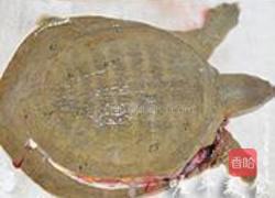 柴鸡焖野生甲鱼的做法图解1