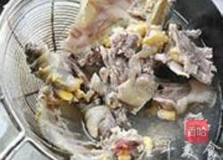 柴鸡焖野生甲鱼的做法图解4