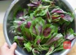 清炒苋菜的做法图解1
