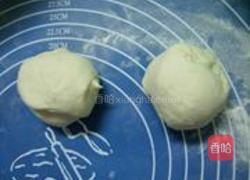 苜蓿肉的做法图解8