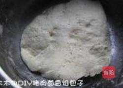 猪肉茴香馅包子的做法图解3