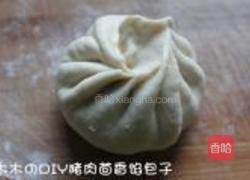 猪肉茴香馅包子的做法图解7