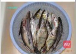 红烧长江杂鱼的做法图解1