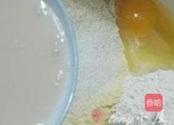 黄金营养团的做法图解3