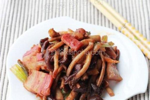 茶树菇炒咸肉