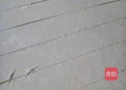 炸翻花的做法图解4