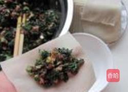 蒸荠菜鲜肉馄饨的做法图解6