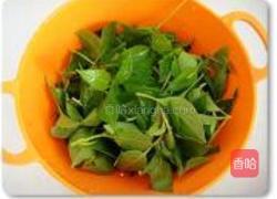 新鲜手工罗勒酱的做法图解2