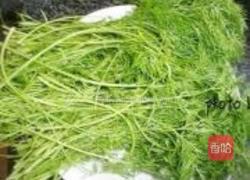 茴香猪肉饺的做法图解2