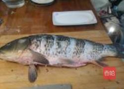 红烧鲤鱼的做法图解2